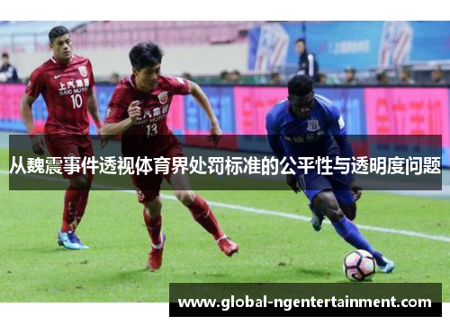 从魏震事件透视体育界处罚标准的公平性与透明度问题