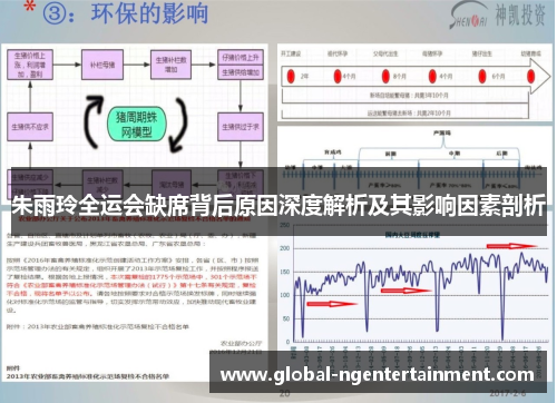 朱雨玲全运会缺席背后原因深度解析及其影响因素剖析