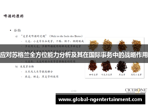 应对苏格兰全方位能力分析及其在国际事务中的战略作用