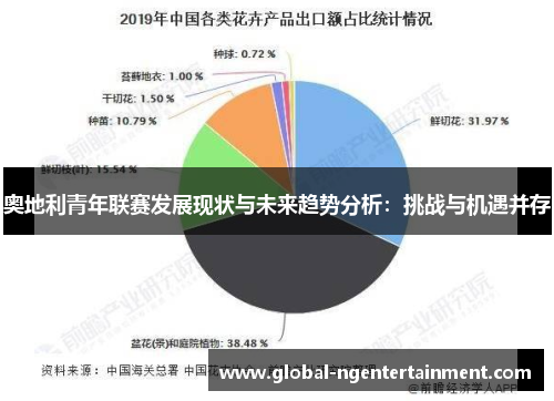 奥地利青年联赛发展现状与未来趋势分析：挑战与机遇并存