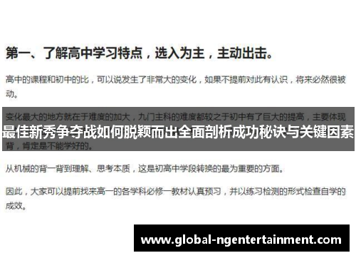 最佳新秀争夺战如何脱颖而出全面剖析成功秘诀与关键因素 最佳新秀争夺战如何脱颖而出全面剖析成功秘诀与关键因素