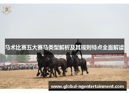 马术比赛五大赛马类型解析及其规则特点全面解读