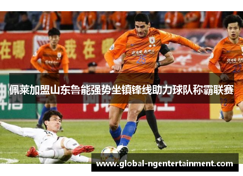 佩莱加盟山东鲁能强势坐镇锋线助力球队称霸联赛 佩莱加盟山东鲁能强势坐镇锋线助力球队称霸联赛